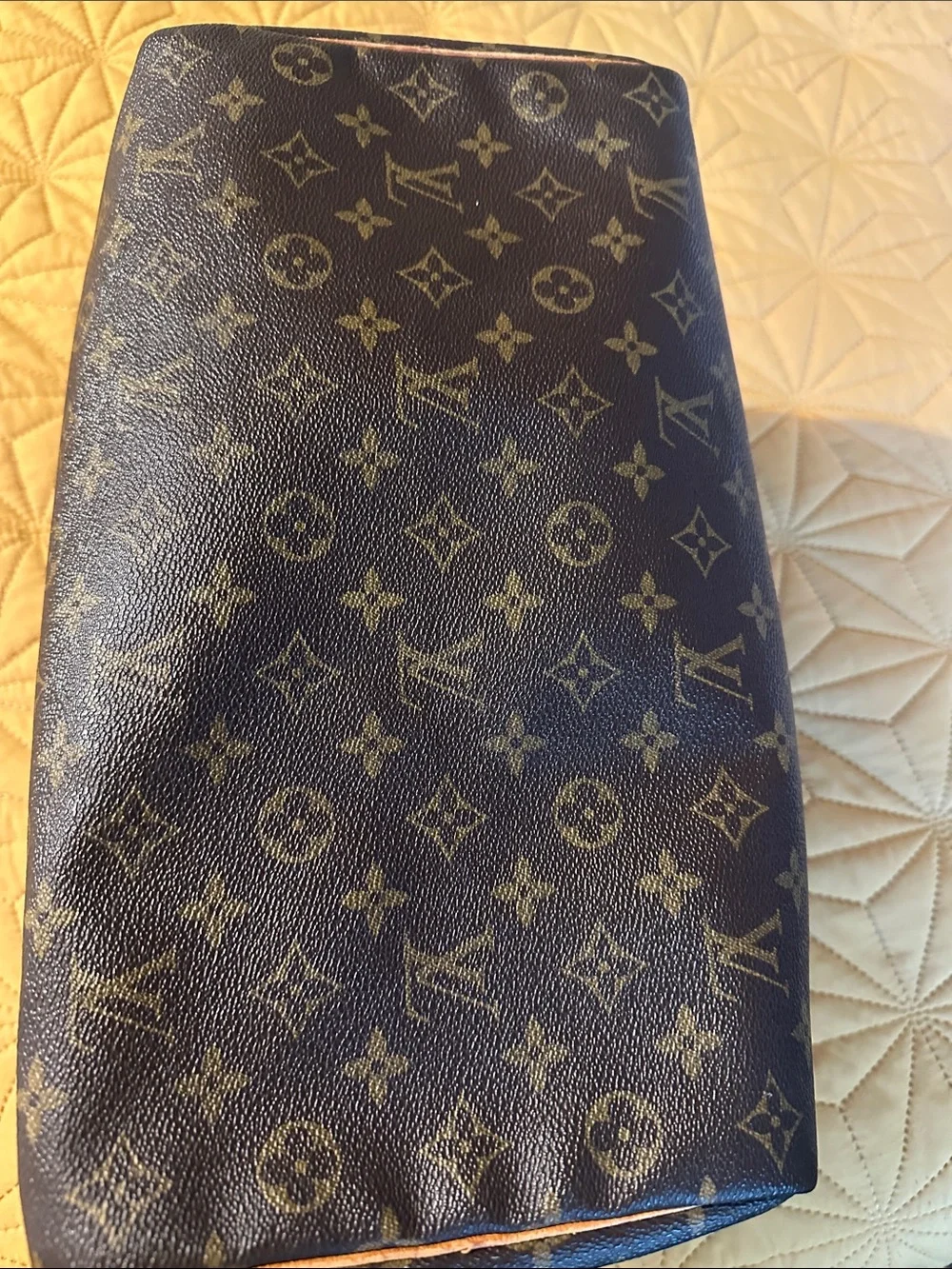 Louis Vuitton Monogram Canvas Satchel in Dark Brown with Natural Trim